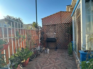 Imagen 5