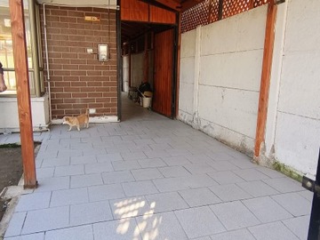 Imagen 12
