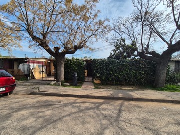 Imagen 5