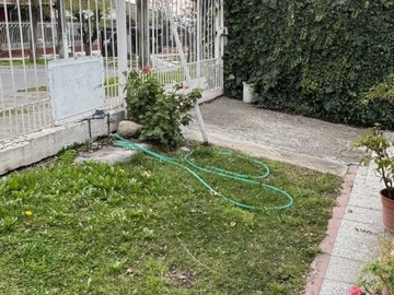 Imagen 7