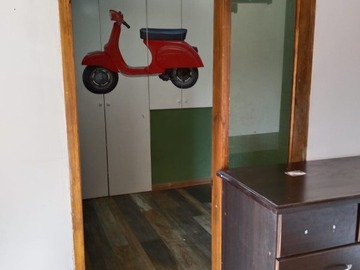 Imagen 5