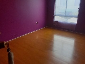 Imagen 9