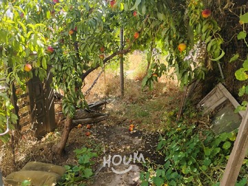 Imagen 11