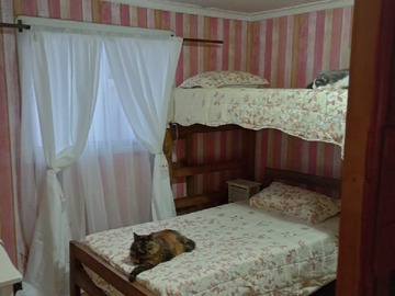 Imagen 5