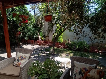 Imagen 20