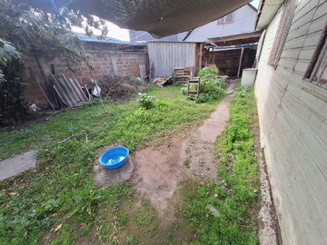Imagen 8