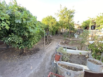 Imagen 9
