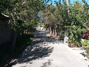 Imagen 16