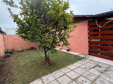 Imagen 14