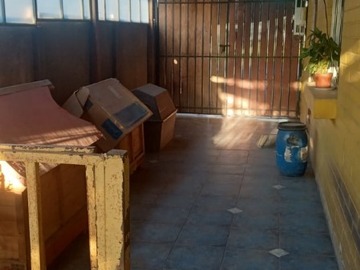 Imagen 27