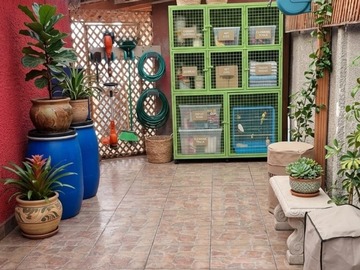 Imagen 13