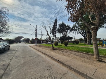 Imagen 7