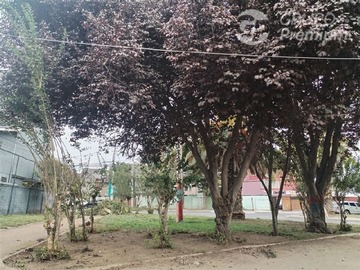 Imagen 17