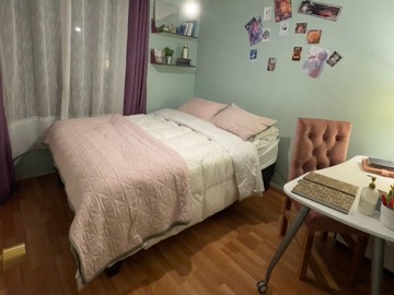 Imagen 22