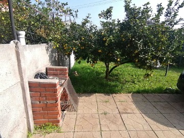 Imagen 7