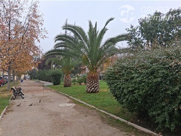 Imagen 20