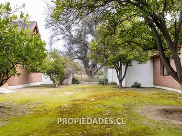 Imagen 24
