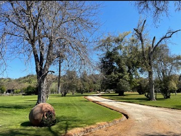 Imagen 26