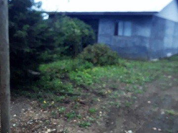 Imagen 6