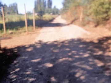 Imagen 8