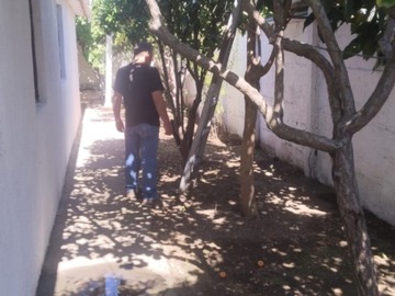 Imagen 16