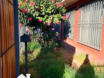 Imagen 23