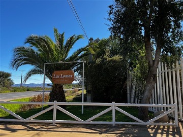 Imagen 11