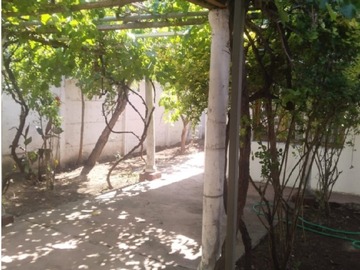 Imagen 7