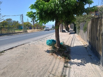 Imagen 15