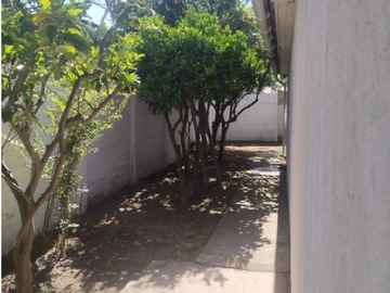 Imagen 15