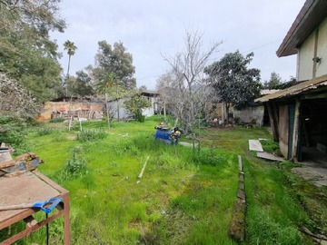 Imagen 11