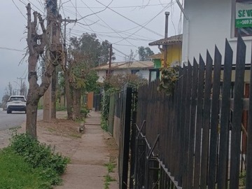 Imagen 18
