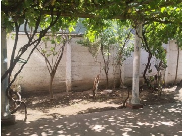 Imagen 6