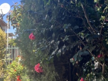 Imagen 8