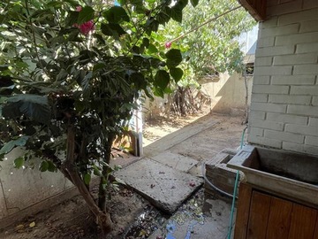 Imagen 11