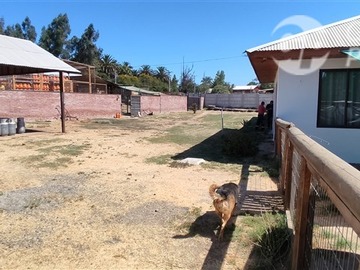 Imagen 6