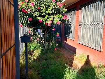 Imagen 8