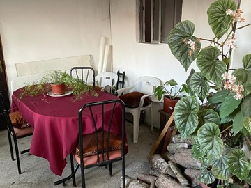 Patio (mismo)