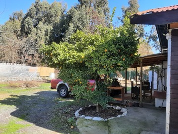 Imagen 9