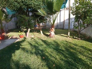 Imagen 21