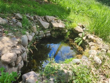 Imagen 23
