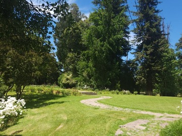 Imagen 21