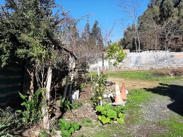 Imagen 6
