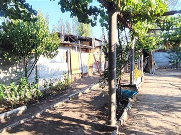 Imagen 7