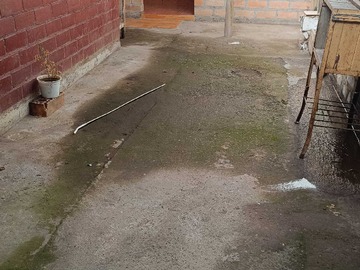 Imagen 15