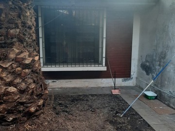 Imagen 21
