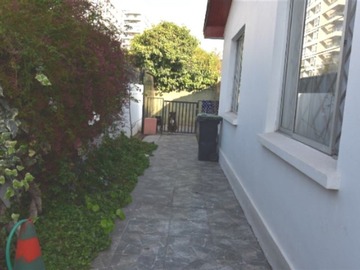 Imagen 22