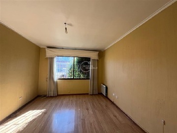 Imagen 11