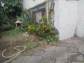 Imagen 23