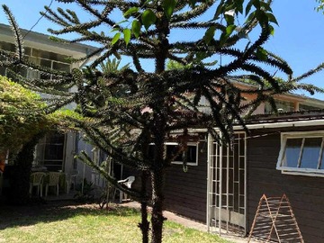 Venta / Casa / Ñuñoa